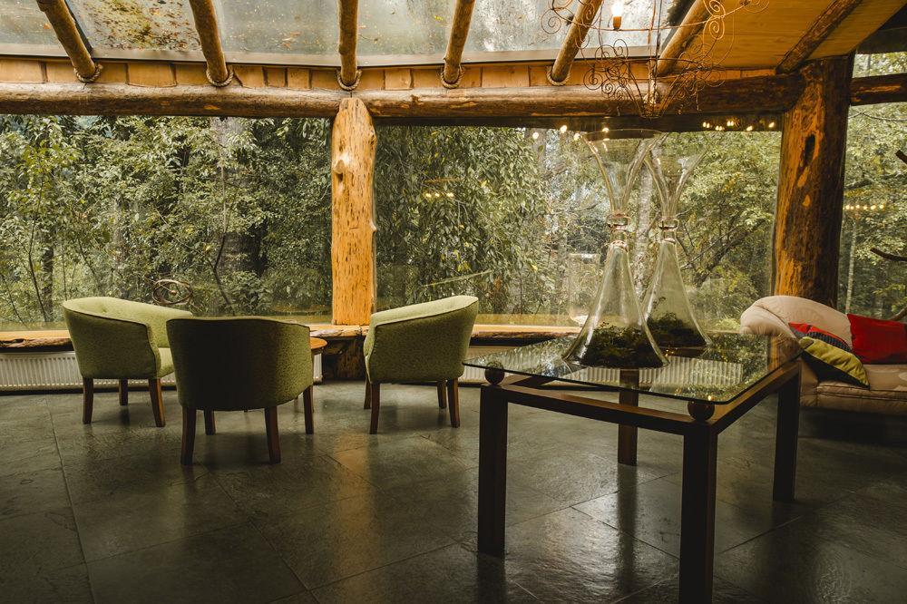 Huilo Huilo Montana Magica Apartment Panguipulli Ngoại thất bức ảnh